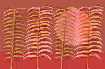 Malaga parque pink sun