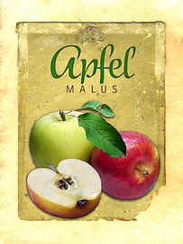 Kitchen picture apples