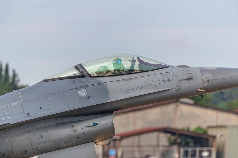 Belgian F-16 demo plane with &quot;Vrieske&quot; in the cockpit. by Jaap van den Berg