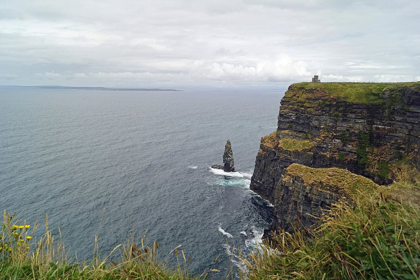 Cliffs of Moher, Ireland by Babetts Bildergalerie