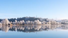 Frosty Day at Weissensee in Bavaria Allgaeu Germany with great sunny Winter Vibes High quality photo von Sebastian Czech