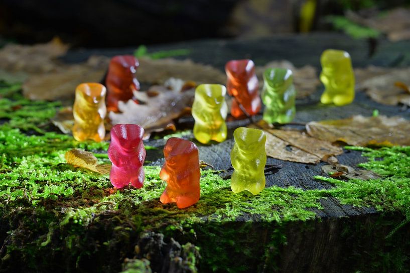 De coole gummibeer bende van Ingo Laue