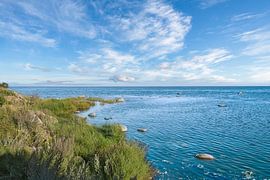 Küstenlandschaft mit Meer und Büschen unter blauem Himmel von Martin Köbsch