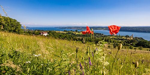 Uitzicht over de Bodensee bij Überlingen in de lente