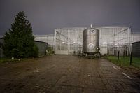 Kassen in het Westland