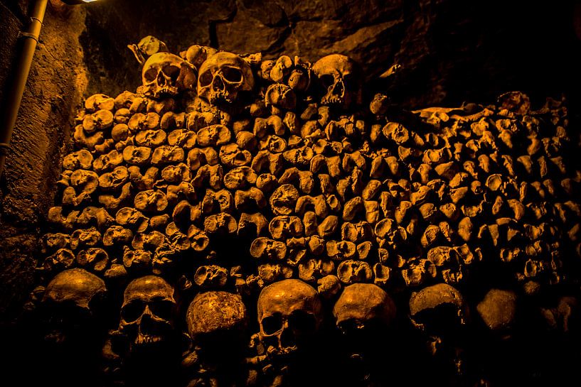 Doodshoofd Catacomben van Parijs van Melvin Erné