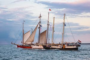 Segelschiffe auf der Hanse Sail in Rostock