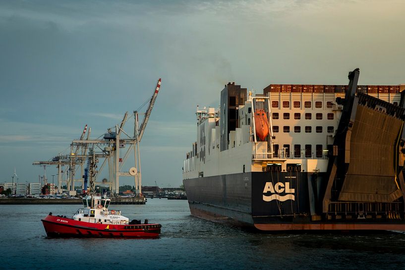 Schlepper im Hamburger Hafen van Stefan Heesch