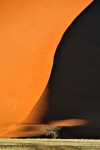 Schatten über Sanddünen in Namibia von AGAMI Photo Agency
