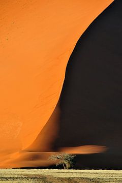 Schaduw over zandduinen in Namibie
