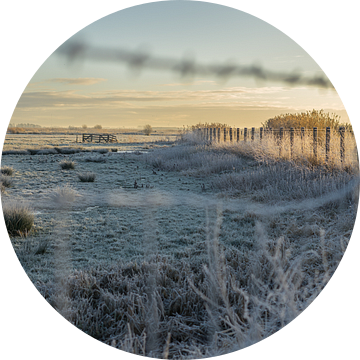 Een winters uitzicht over het Doove Gat nabij Haastrecht van Rossum-Fotografie