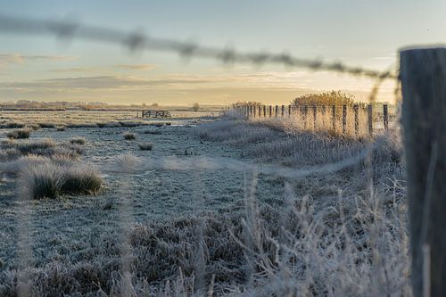 Een winters uitzicht over het Doove Gat nabij Haastrecht