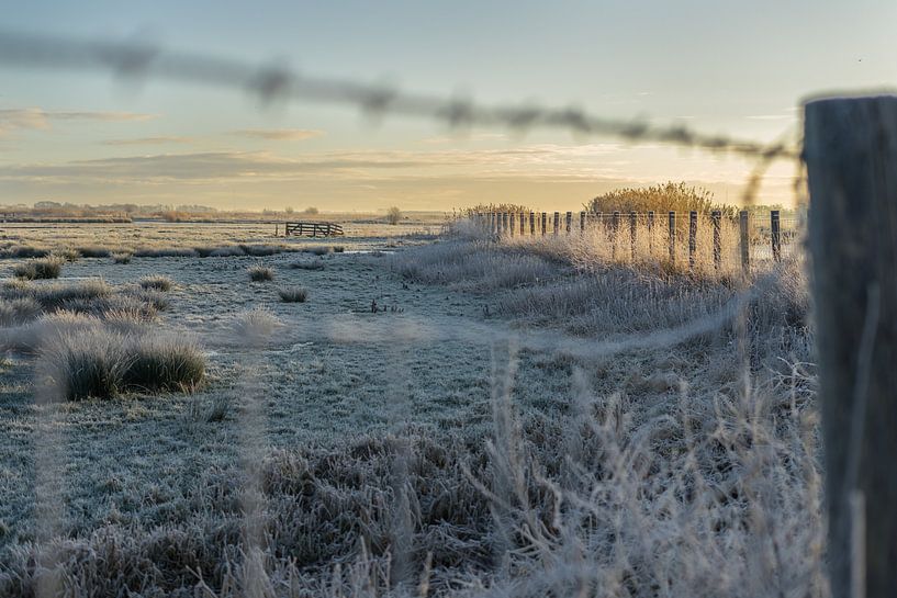 Ein winterlicher Blick über das Doove Gat bei Haastrecht von Rossum-Fotografie