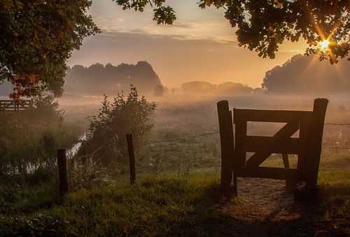 Nebliger Morgen von Dotwood