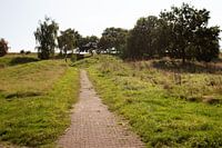 Die Natur entdecken in einem Waldgebiet im Emsland, Niedersachsen, Deutschland