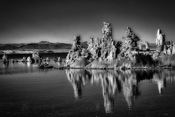 Kalksteen Tufsteen Formatie bij Mono Lake in de Sierra Nevada Californië USA in zwart-wit van Dieter Walther