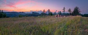Panorama heuvelland zonsondergang