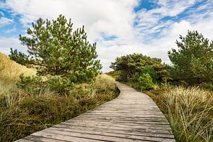 Landschaft in den Dünen auf der Insel Amrum