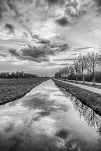 Tienhoven