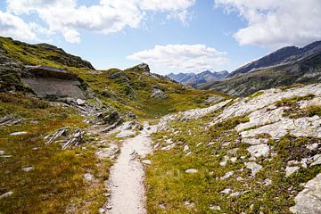 Summer mountain landscape in Switzerland with green alpine pastures and striking peaks. by Miriam Schwarzfischer Fotografie