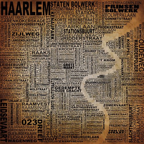 Haarlem Stadtplan Typografie von Stef van Campen