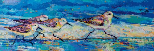 Racing Plovers, Jeanette Vertentes