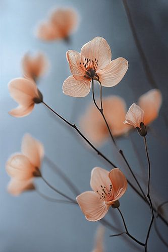 Blossoms in close-up