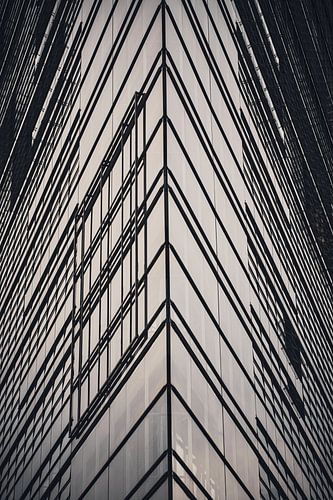 De hagedis IV van Steven Plitz