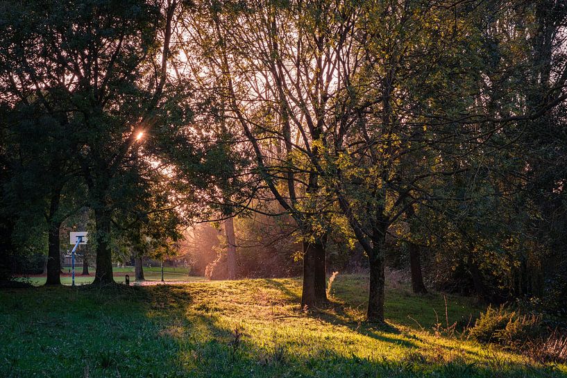 Coucher de soleil dans le Brabant par Rik Moors