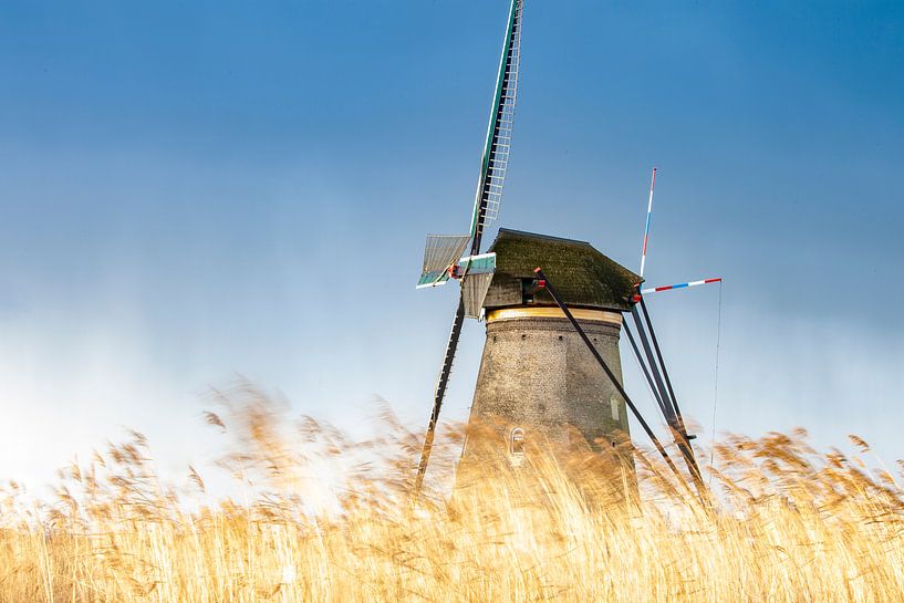 Windmühle im Wind von Paul Vergeer