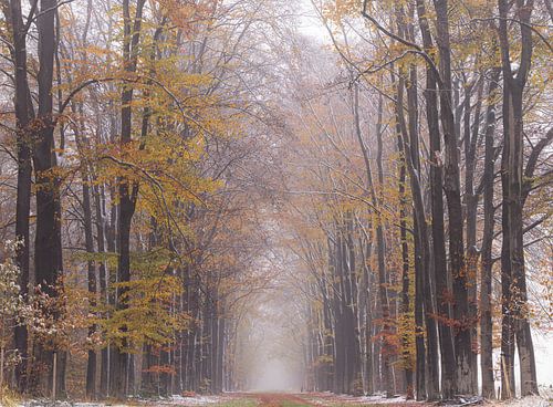 Winterse herfstochtend