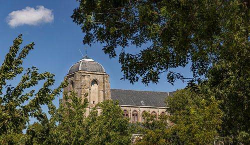 Grote Kerk Veere door de bomen