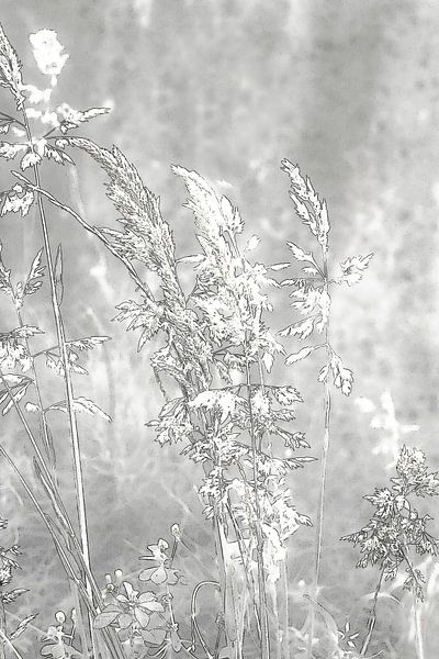 Grasses in the Grasslands 1. Digital Art. Minimalism by Alie Ekkelenkamp