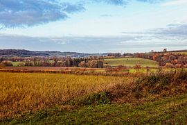 Eyserbos and Wijlre by Rob Boon