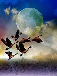 départ sur Gertrud Scheffler