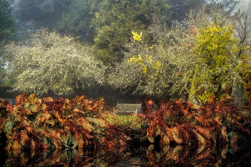 The bench and the ferns by Lars van de Goor