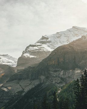Berner Oberland van Marco Andreani