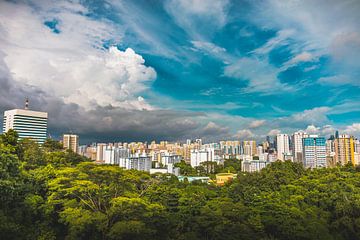 Singapore skyline van Andy Troy