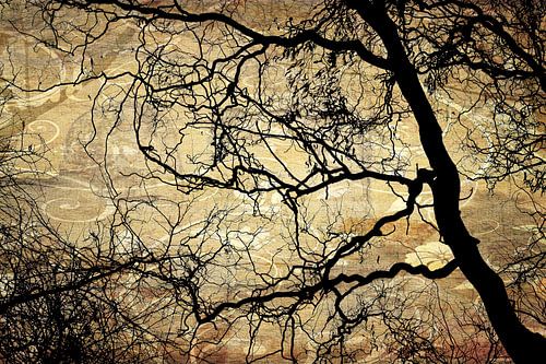 Baum Äste und Textur