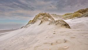 plage de dunes et mer du Nord avec une tempête sur eric van der eijk