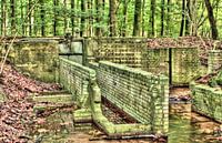 Waterwerk in het Waterloopbos in hdr