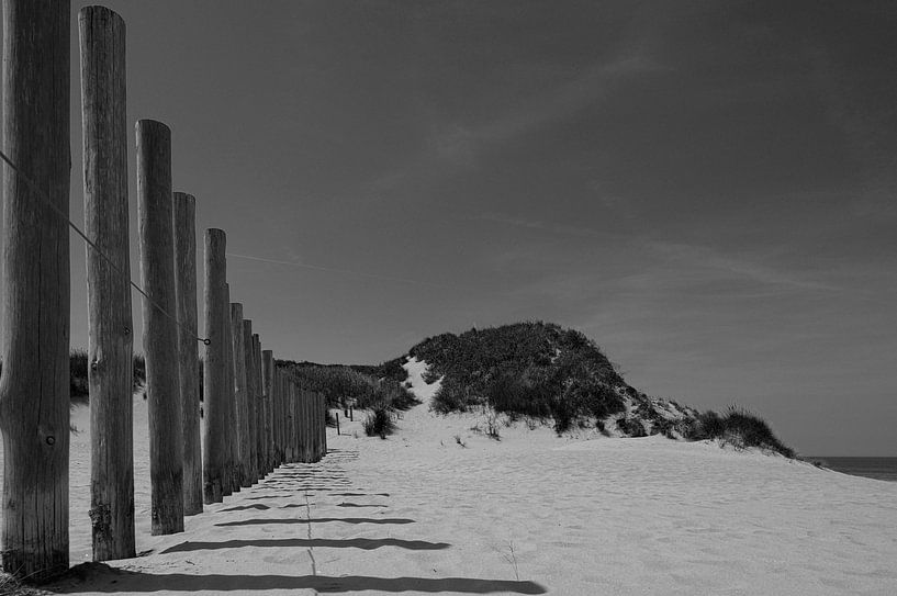 Schatten von Peter Bartelings