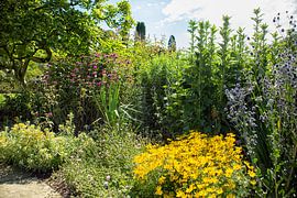 Bordure fleurie colorée dans un jardin anglais