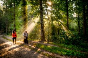 Breda Liesbos im Nebel