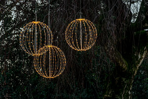 Decoratie licht buiten in een boom