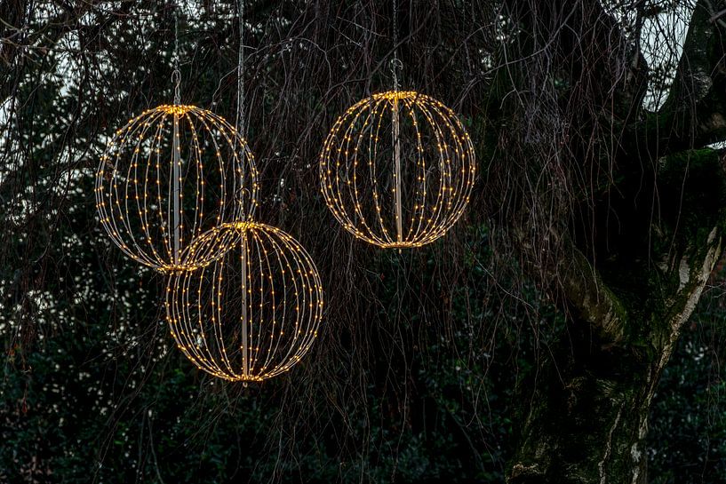 Lumière de décoration à l'extérieur dans un arbre par Jolanda de Jong-Jansen