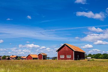 Rode houten huizen op het eiland Sladö in Zweden van Rico Ködder