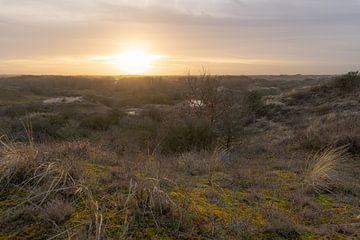 Duinegbied Berkheide van Dirk van Egmond