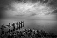 Mooring posts near Medemblik
