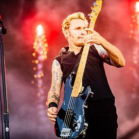 Green Day - Mike van Niels Knelis Meijer